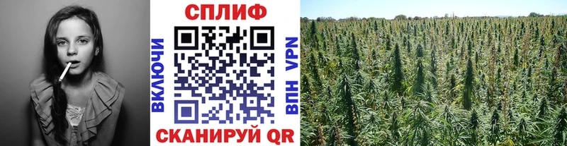 Бошки марихуана ГИДРОПОН  Харабали 